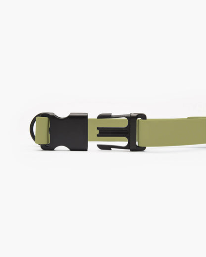 Signature Collar