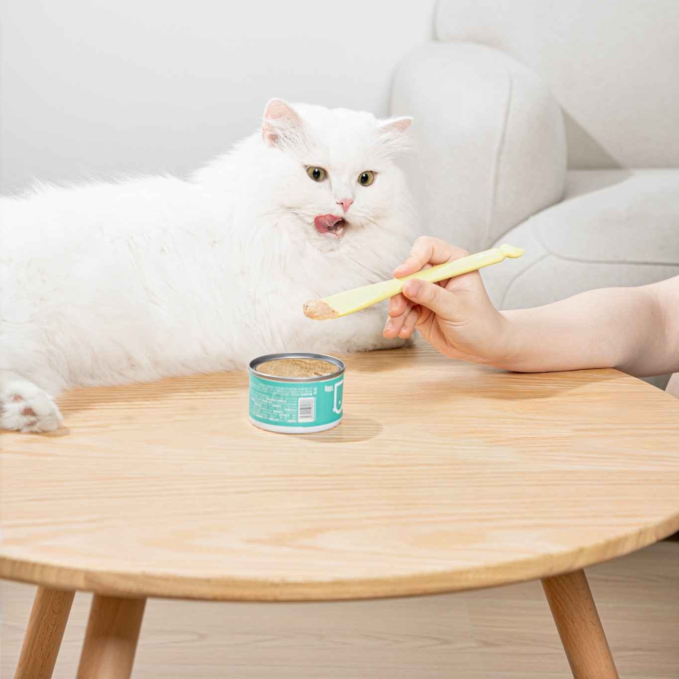 Can Food Spoon