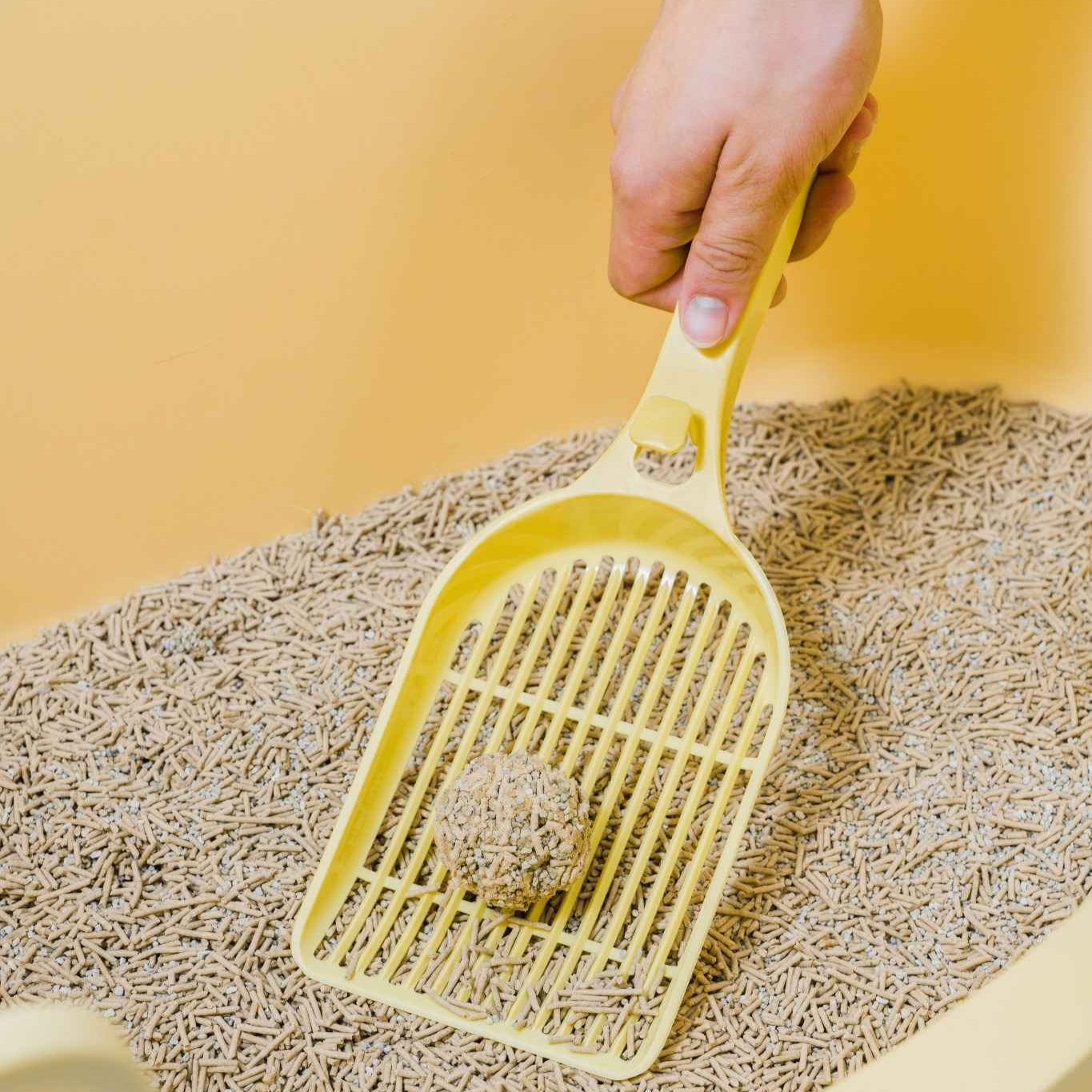 Cat Litter Scoop