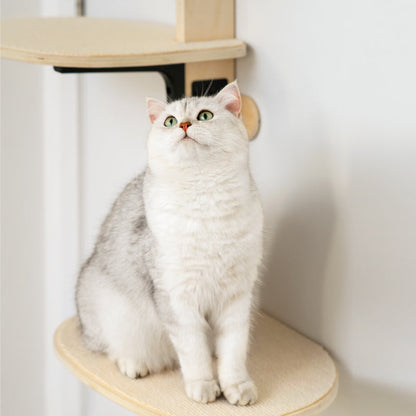 Door Hanging Bed Comfort Eco-Friendly Pine Wood Stable Durable Scratch Board Pet Climbing Frame