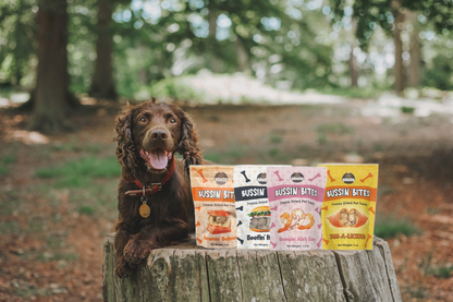 Single Ingredient, High Value Freeze-Dried Training Treats for Dogs & Cats - Salmon