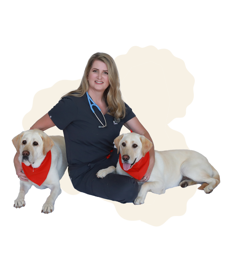 **SALE** Pet Vet First Aid Guide Paperback – Dog & Cat Emergency Handbook with CPR, Toxicity Charts, Dosage Calculators & Step-by-Step Pet First Aid Instructions