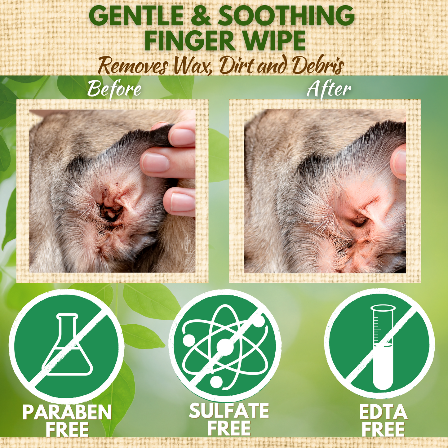 Dog Ear Wipes - Dog Ear Cleaning Wipes by EcoBark - Naturally Coconut Scented - 50 Count Finger Wipes For Puppies and Dogs
