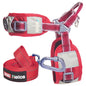 Dog Helios 'Geo-turf' Performance Adjustible and Reflective Dog Harness and Leash