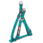 Dog Helios Sporty Nylon Leash and Harness