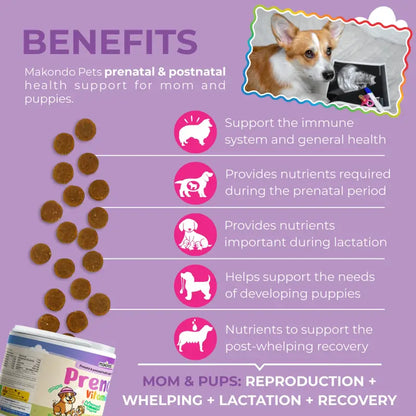 Dog Prenatal Vitamins - 120 Soft Chews
