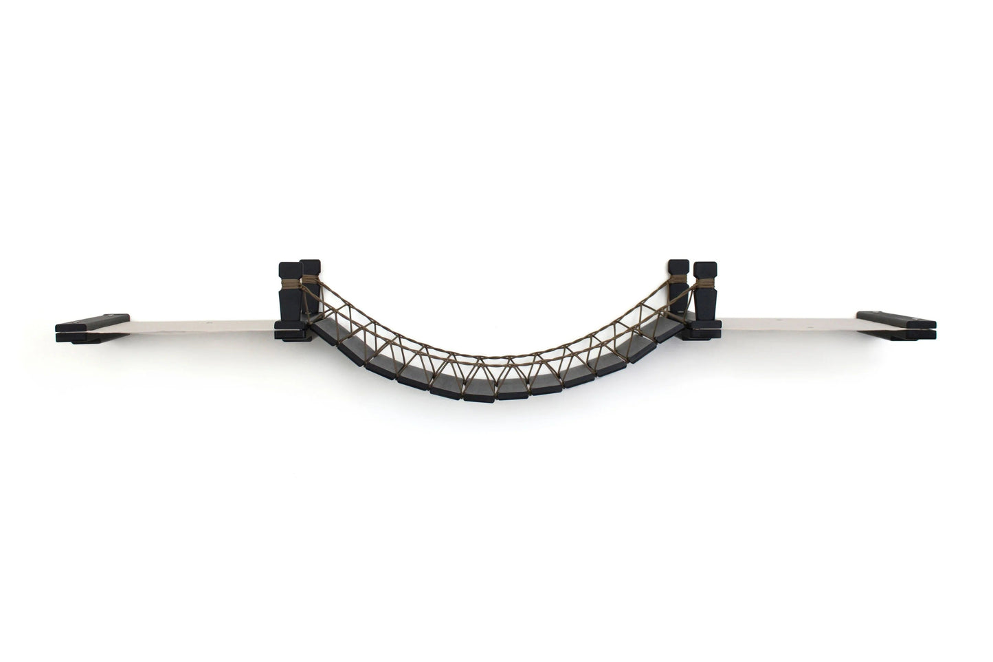 Double Cat Hammock and Climbing Bridge Combo