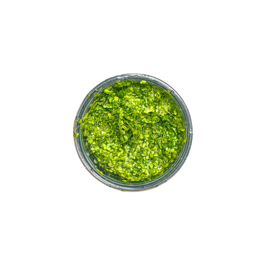 Duckweed