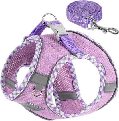 Dog Harness and Leash Set No Pull Reflective Step In Adjustable Small Dogs Cats