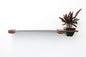 Cat Hammock Wall with Planter