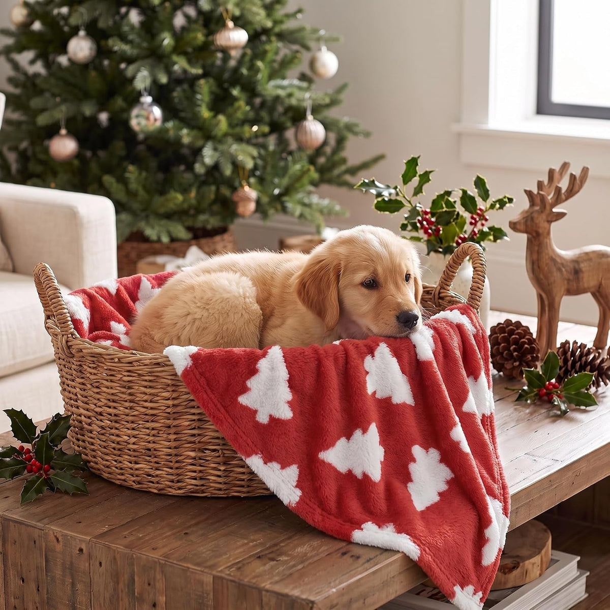 Christmas Pet Blanket – 3D Textured Fleece for Dogs & Cats, 6 Styles