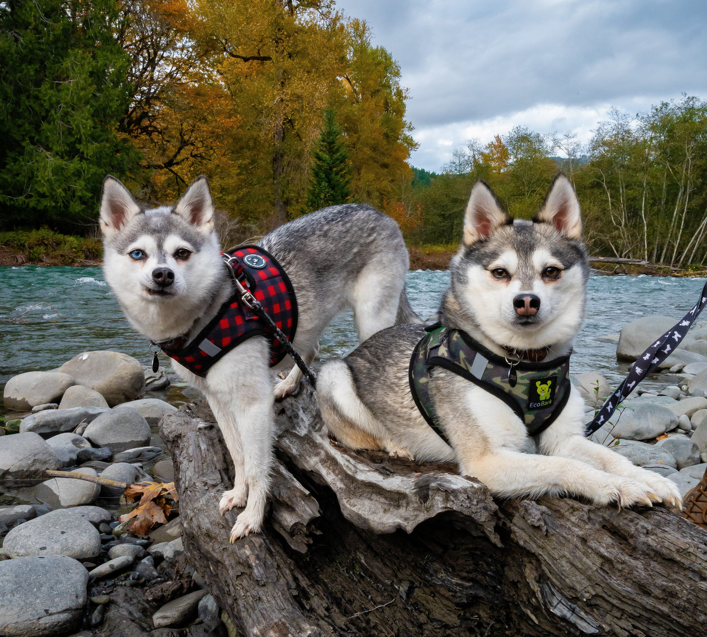 EcoBark Step In Dog Harness - XXXS to Medium Breeds- Reflective Soft Mesh Harness for Teacup, Small Dogs and Puppies / Camouflage