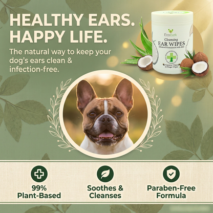 Dog Ear Wipes - Dog Ear Cleaning Wipes by EcoBark - Naturally Coconut Scented - 50 Count Finger Wipes For Puppies and Dogs