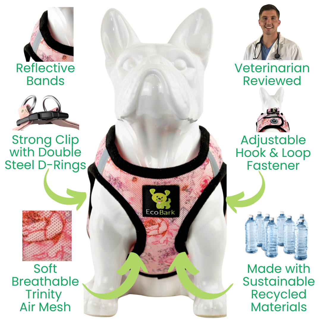 EcoBark Step In Dog Harness - XXXS to Medium Breeds- Reflective Soft Mesh Harness for Teacup, Small Dogs and Puppies / French Floral