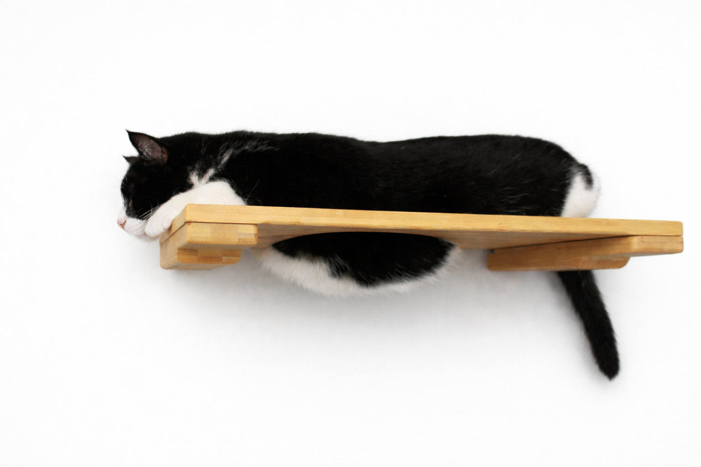 Wall Mounted Cat Shelf
