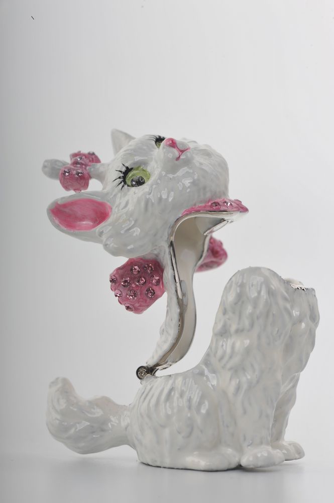 White and Pink Cat