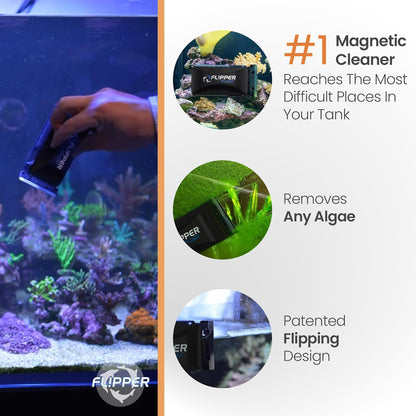 Flipper x Cichlid Bros Bundle