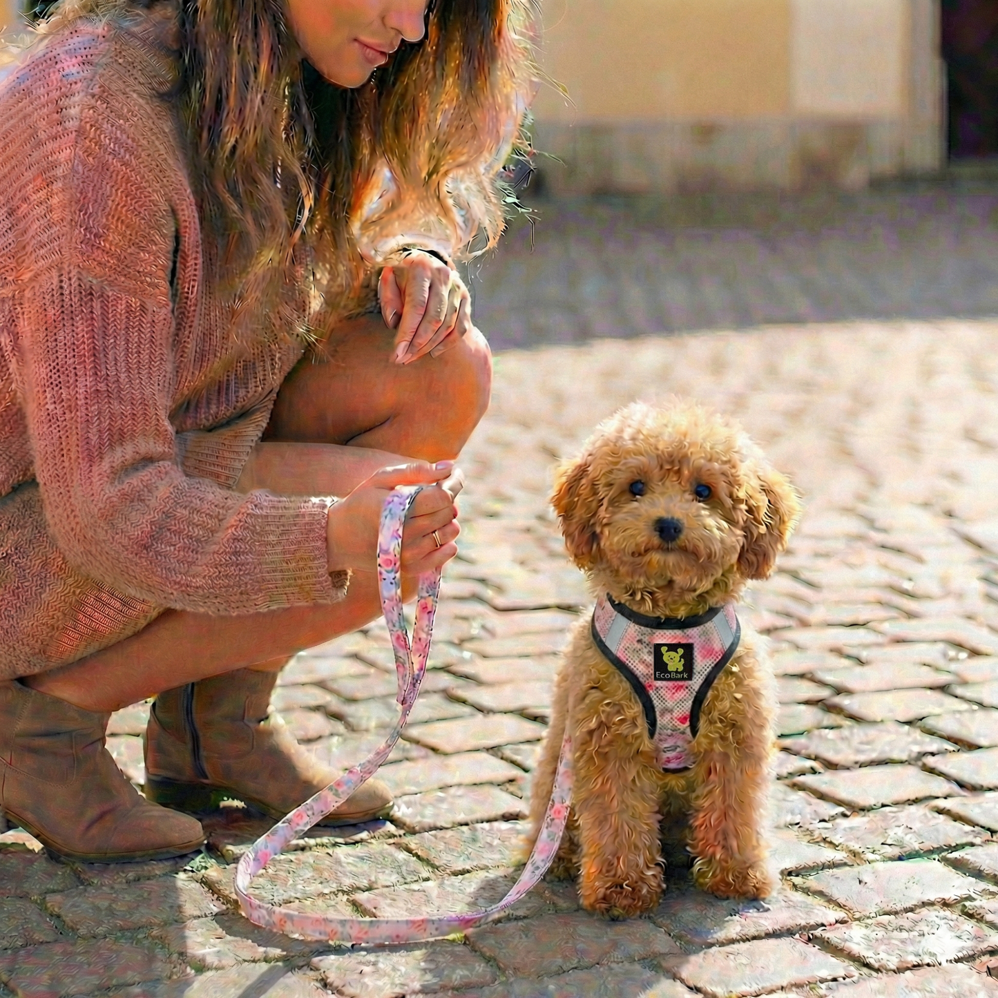 EcoBark Step In Dog Harness - XXXS to Medium Breeds- Reflective Soft Mesh Harness for Teacup, Small Dogs and Puppies / French Floral