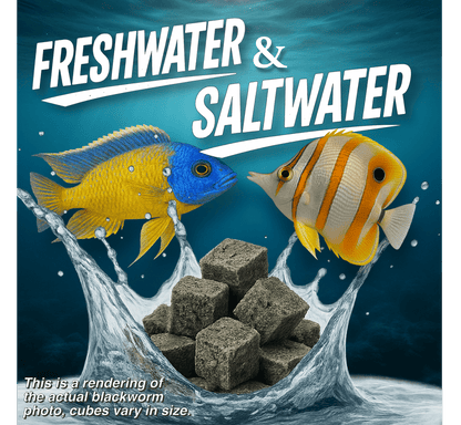 Premium Freeze Dried Blackworms - Power Boost
