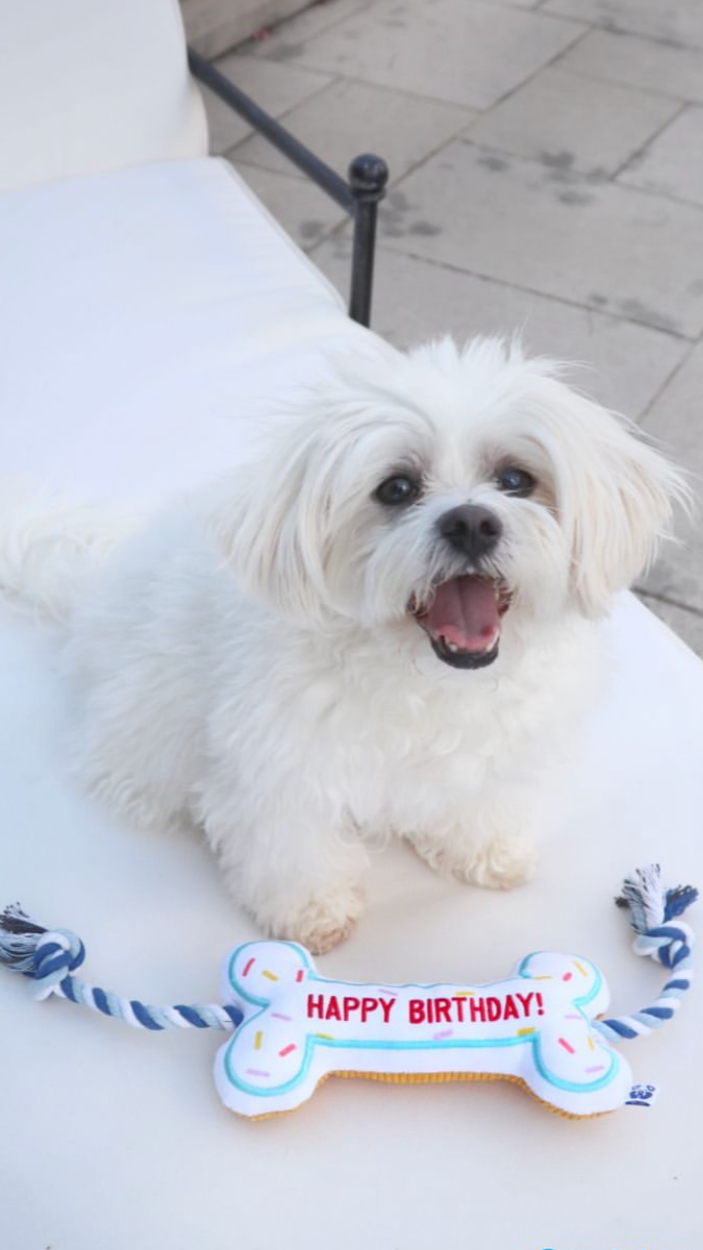 BIRTHDAY BONE