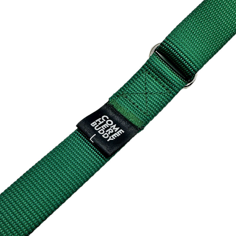 Martingale Dog Collar