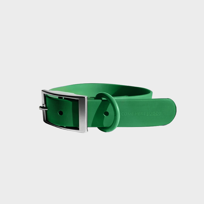 Everyday Collar