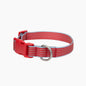 Waterproof Dog Collar