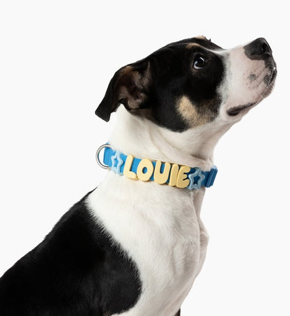 Waterproof Dog Collar