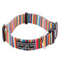 *Hippie Dog Collar and Leash*