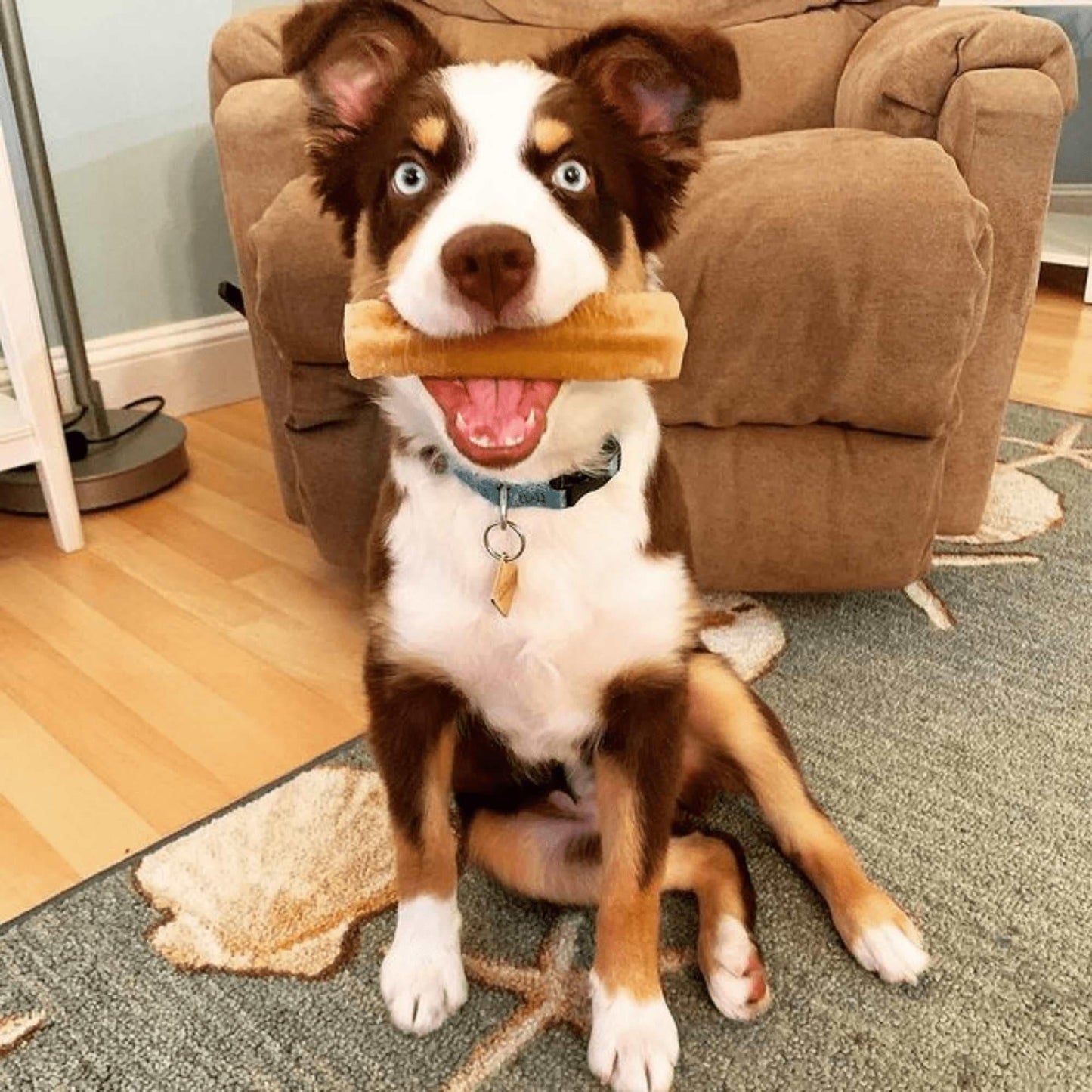 Honey Cheese Chews for Dogs