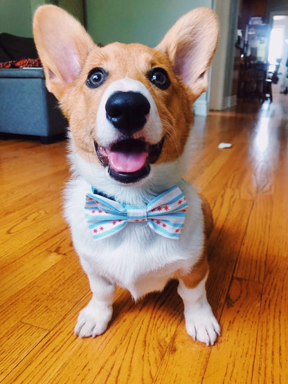 Chicago Flag Bow Tie