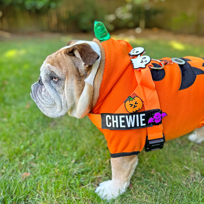 Pumpkin Jiby Dog Charm