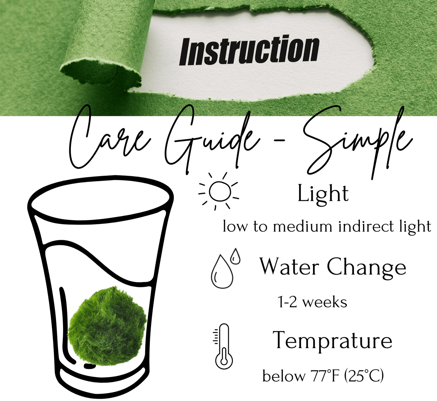 Sample Marimo Moss Balls For Aquarium Multiple Size - Kokedama Japanese Algae Ball