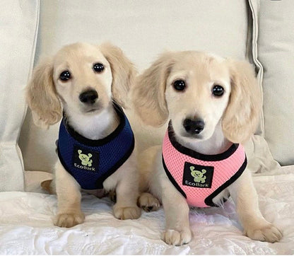 EcoBark Navy Dog Harness - Over-the-Head Soft Mesh Dog Vest Halter for Small to Medium Dogs and Puppies