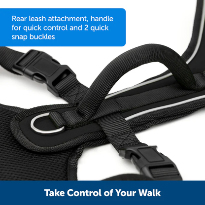 Petsafe Easysport Harness Teal Lg