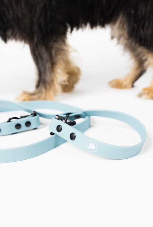 The Modern Dog Company - Dusty Blue Adjustable Leash