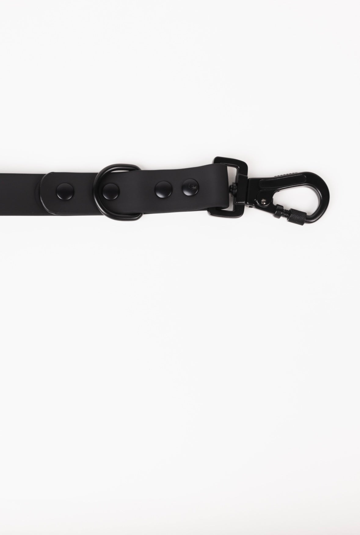 The Modern Dog Company - Better in Black Leash