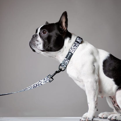 Ever So Wild Collar