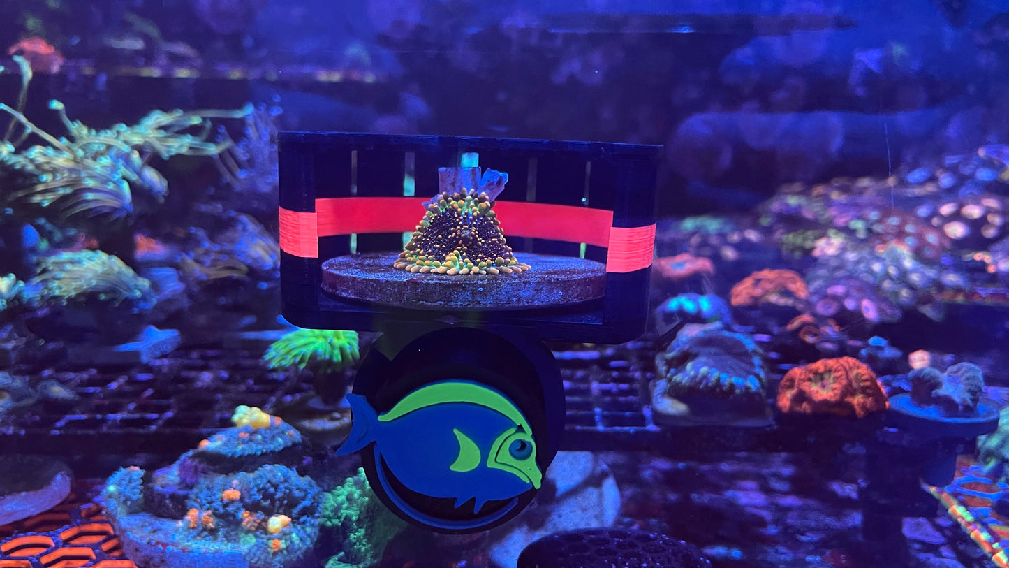 ClearShroom — Magnetic Mushroom  Cage by Rhino’s Reef