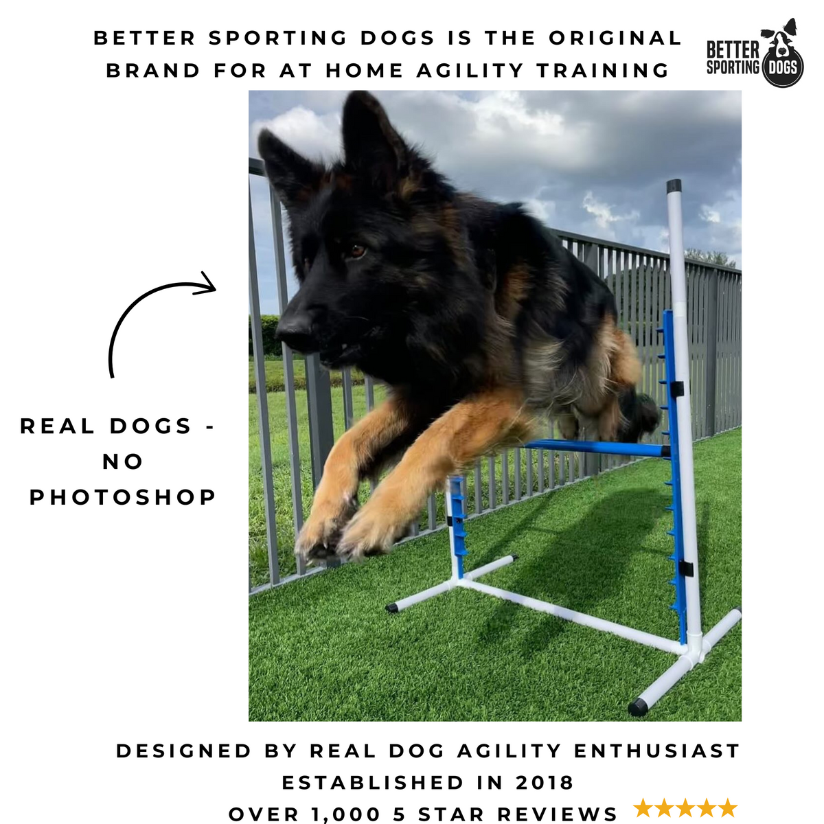 Better Sporting Dogs 4-Pack Adjustable Dog Agility Jumps – Bar & Tire Jumps