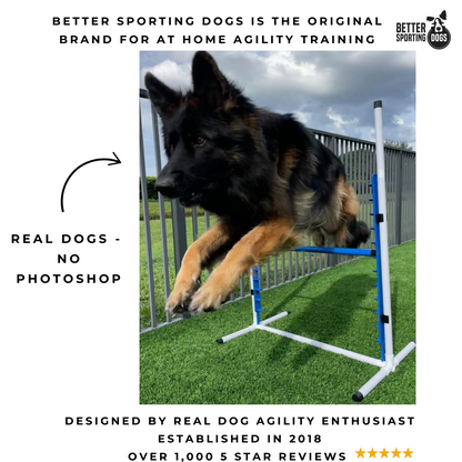 Better Sporting Dogs 4-Pack Adjustable Dog Agility Jumps – Bar & Tire Jumps