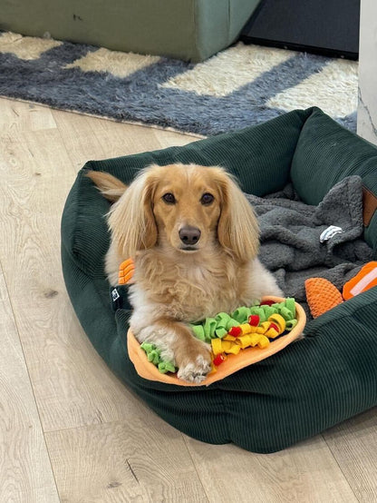 CHEWPOTLE BOWL SLOW FEEDER DOG TOY