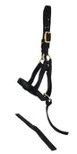 Jeffers Nylon "Grow With Me" Weanling Horse Halter