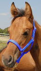 Jeffers Nylon Foal & Pony Halter