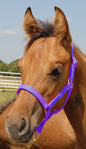 Jeffers Nylon Foal & Pony Halter