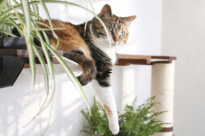 The Juggernaut - Indoor Cat Playground for Wall