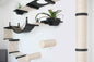 The Juggernaut - Indoor Cat Playground for Wall