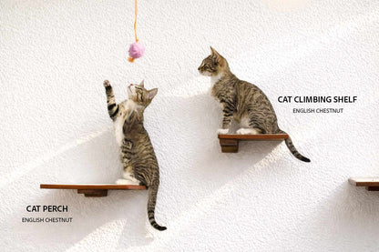 Cat Climbing Shelf