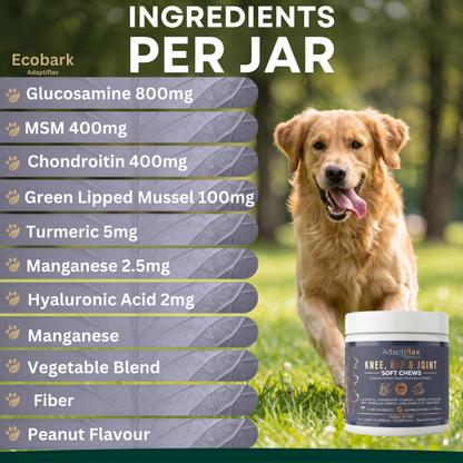 EcoBark Adaptiflex™  Hip and Joint Supplement for Dogs with Glucosamine, Chondroitin, and MSM