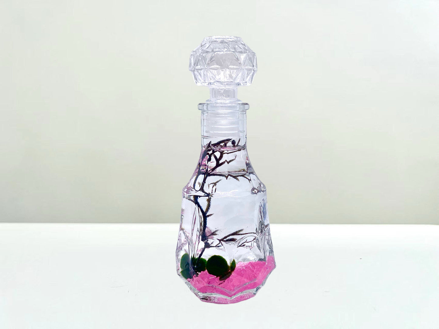 Romantic Marimo Moss Balls Glass Bottle Aquarium With Lid Love Plants for Beginners for Couples
